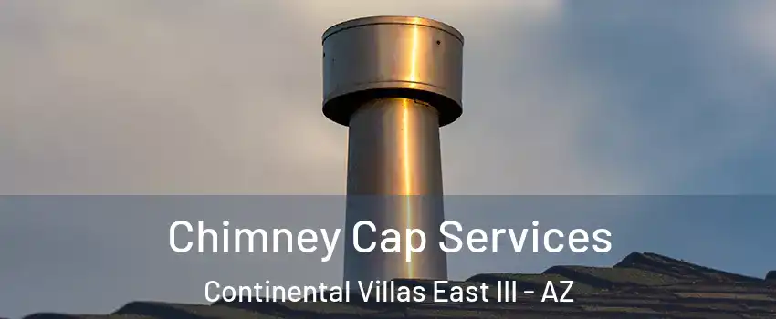 Chimney Cap Services Continental Villas East III - AZ
