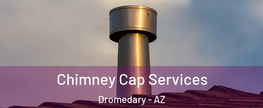 Chimney Cap Services Dromedary - AZ