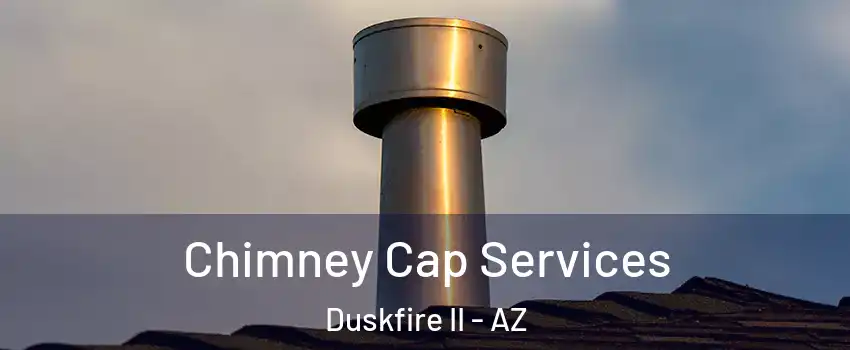 Chimney Cap Services Duskfire II - AZ
