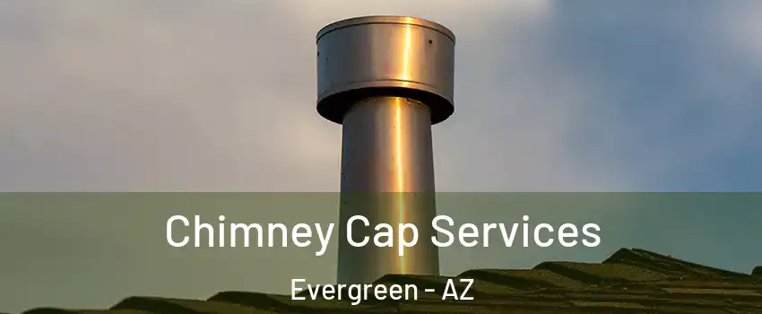 Chimney Cap Services Evergreen - AZ