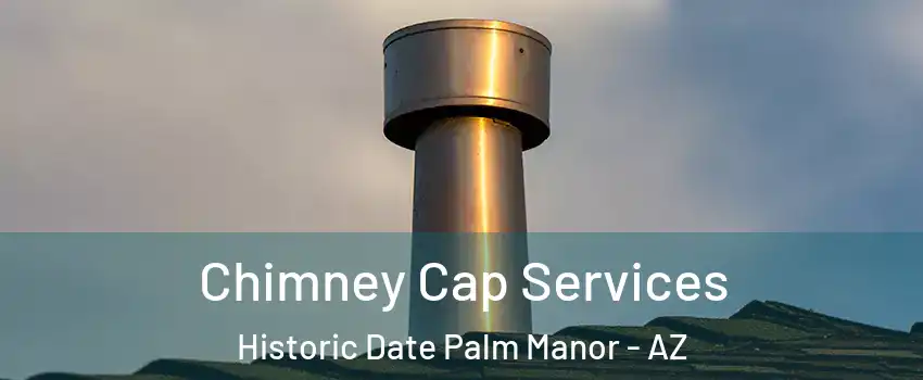 Chimney Cap Services Historic Date Palm Manor - AZ