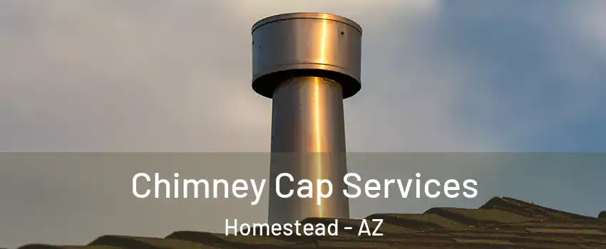 Chimney Cap Services Homestead - AZ