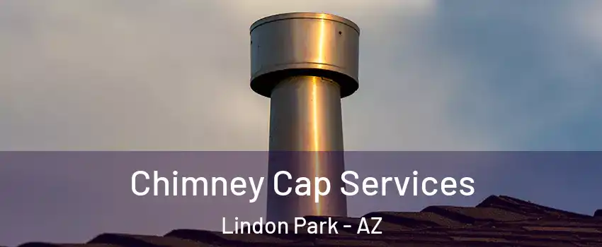 Chimney Cap Services Lindon Park - AZ