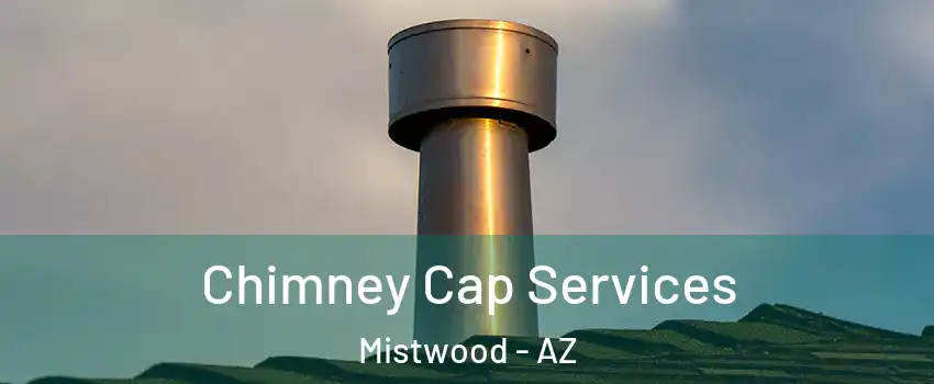 Chimney Cap Services Mistwood - AZ
