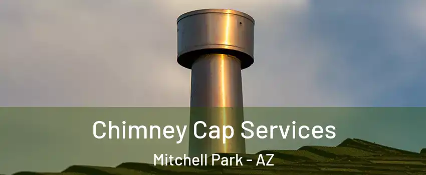 Chimney Cap Services Mitchell Park - AZ