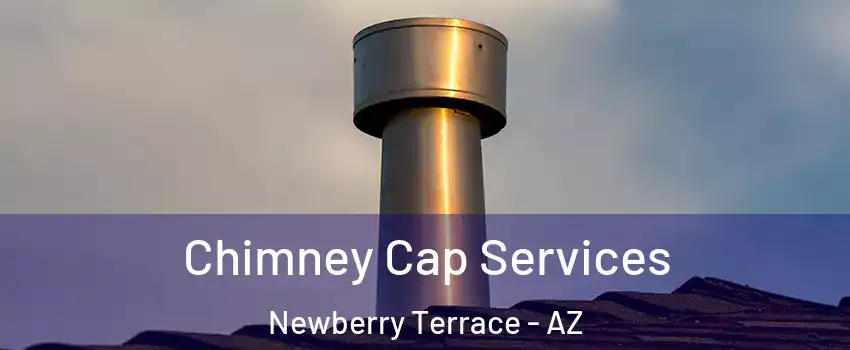 Chimney Cap Services Newberry Terrace - AZ