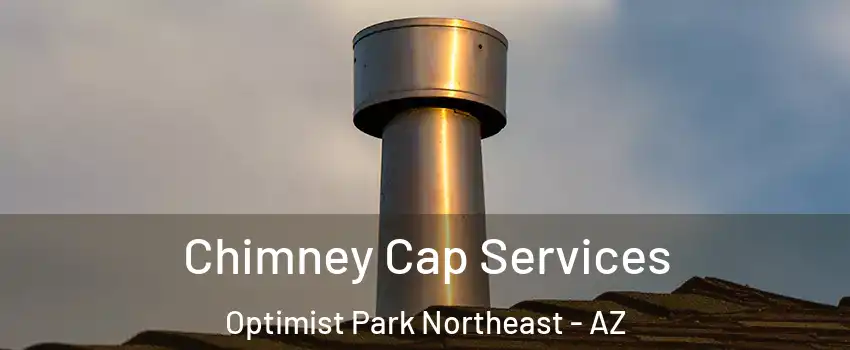 Chimney Cap Services Optimist Park Northeast - AZ