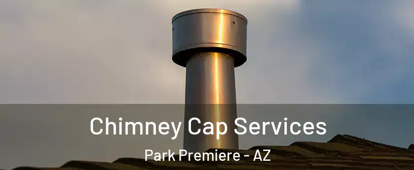 Chimney Cap Services Park Premiere - AZ