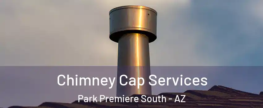 Chimney Cap Services Park Premiere South - AZ