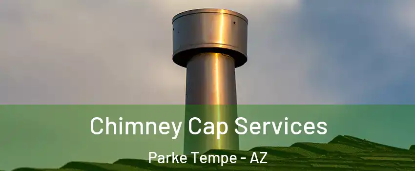 Chimney Cap Services Parke Tempe - AZ