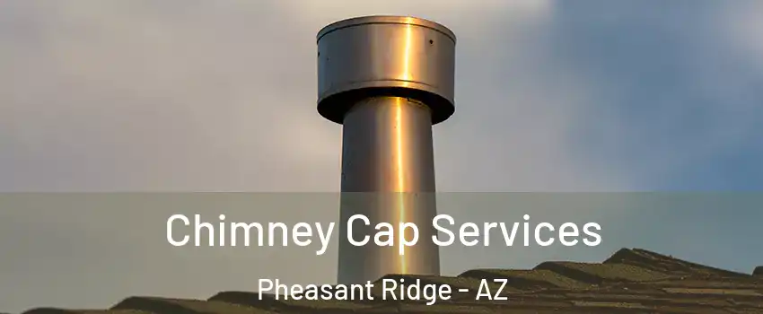 Chimney Cap Services Pheasant Ridge - AZ