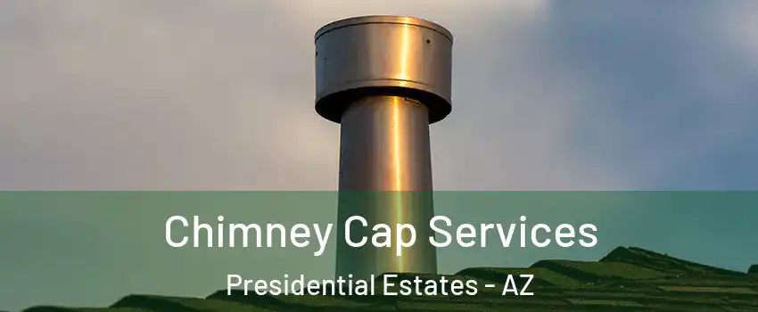 Chimney Cap Services Presidential Estates - AZ