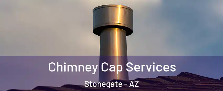 Chimney Cap Services Stonegate - AZ