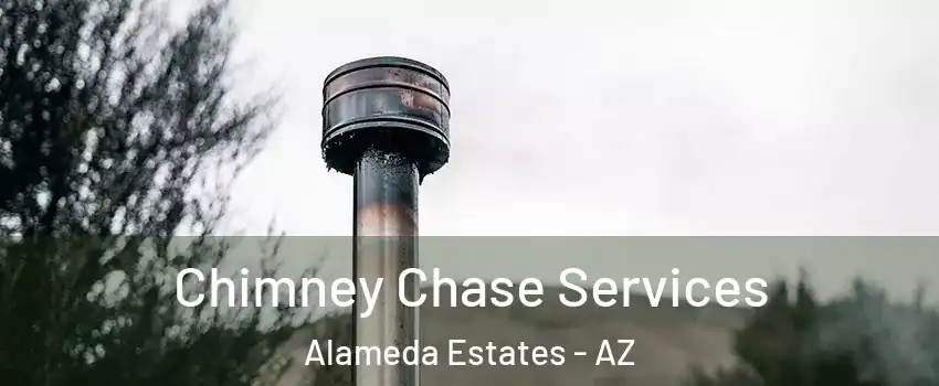 Chimney Chase Services Alameda Estates - AZ