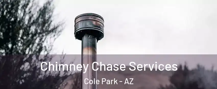 Chimney Chase Services Cole Park - AZ