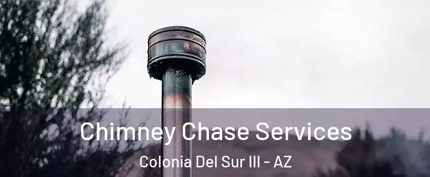 Chimney Chase Services Colonia Del Sur III - AZ