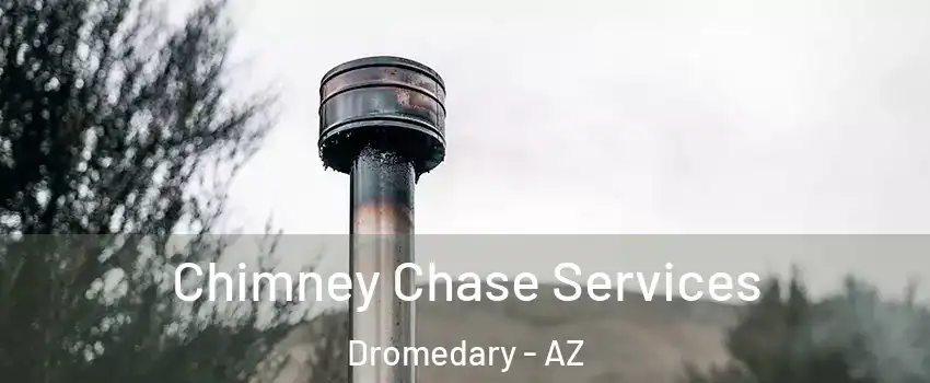 Chimney Chase Services Dromedary - AZ
