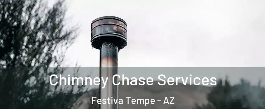 Chimney Chase Services Festiva Tempe - AZ
