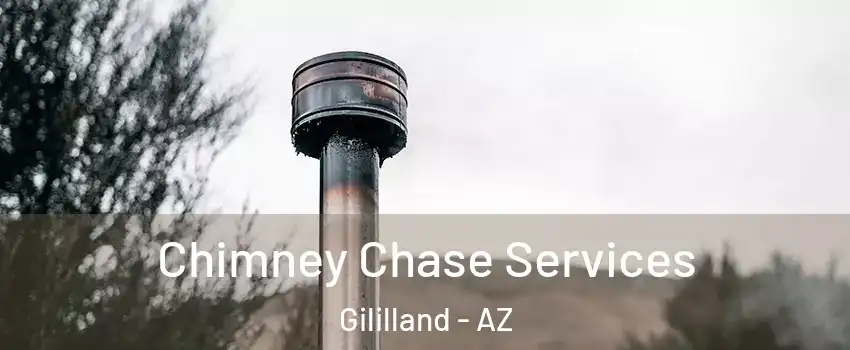 Chimney Chase Services Gililland - AZ