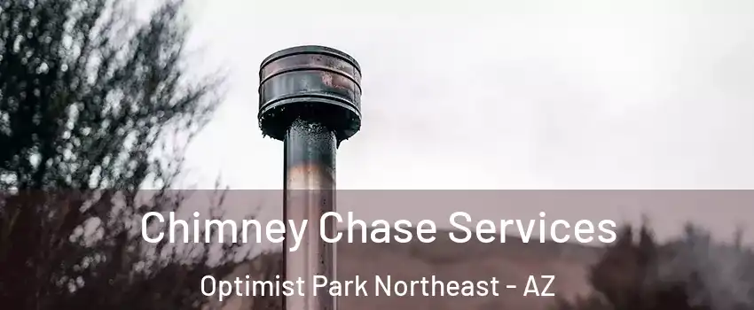 Chimney Chase Services Optimist Park Northeast - AZ