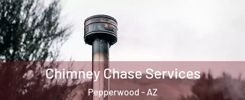 Chimney Chase Services Pepperwood - AZ