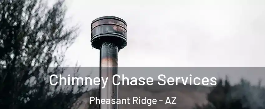 Chimney Chase Services Pheasant Ridge - AZ