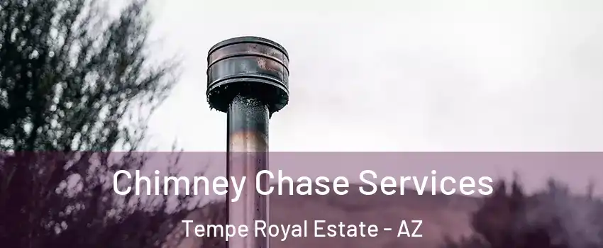 Chimney Chase Services Tempe Royal Estate - AZ