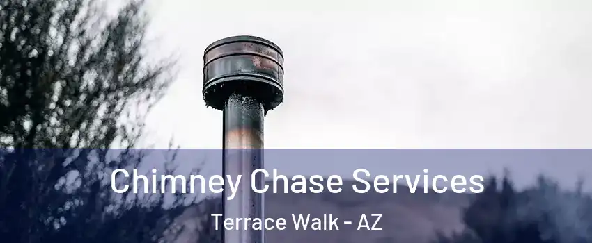 Chimney Chase Services Terrace Walk - AZ