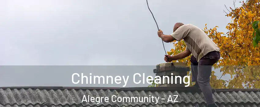 Chimney Cleaning Alegre Community - AZ