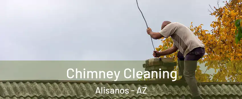Chimney Cleaning Alisanos - AZ