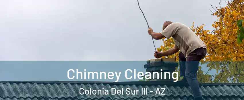 Chimney Cleaning Colonia Del Sur III - AZ