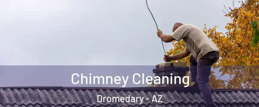 Chimney Cleaning Dromedary - AZ