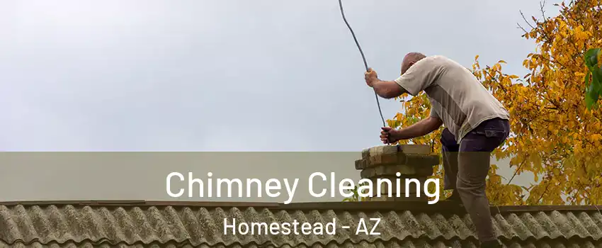 Chimney Cleaning Homestead - AZ