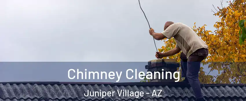 Chimney Cleaning Juniper Village - AZ