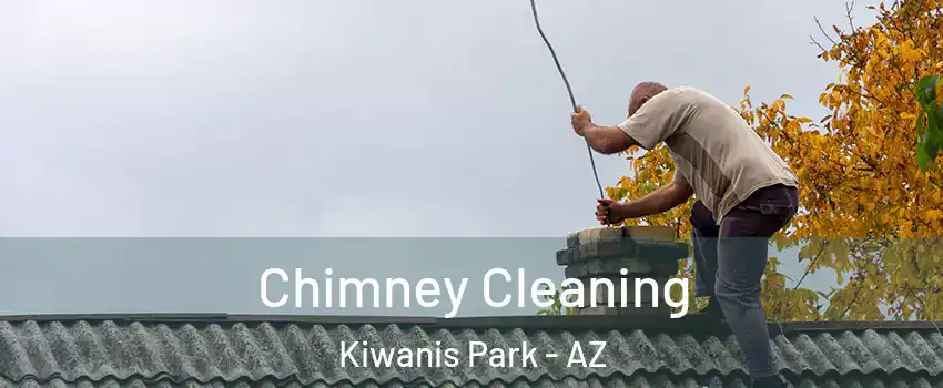 Chimney Cleaning Kiwanis Park - AZ