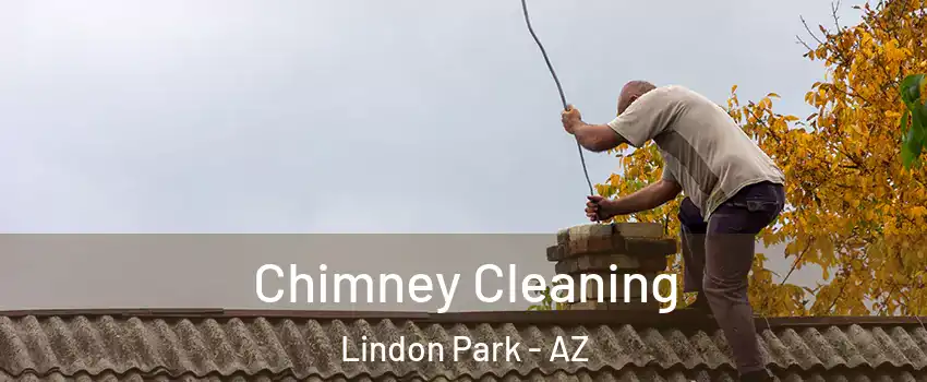 Chimney Cleaning Lindon Park - AZ
