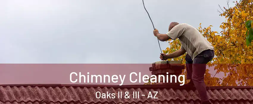 Chimney Cleaning Oaks II & III - AZ