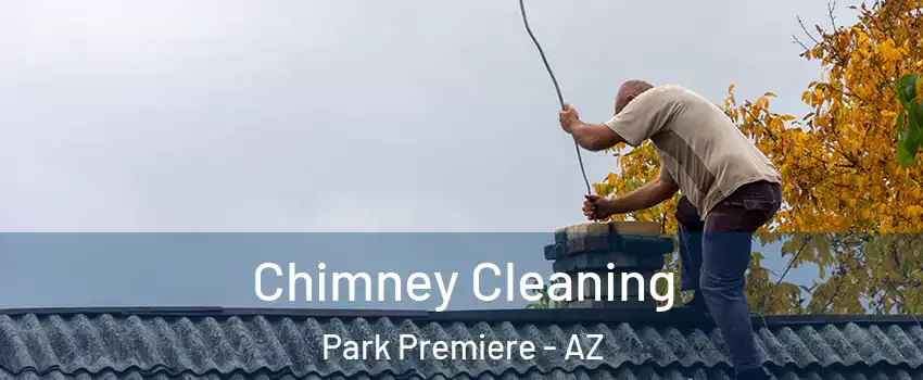 Chimney Cleaning Park Premiere - AZ