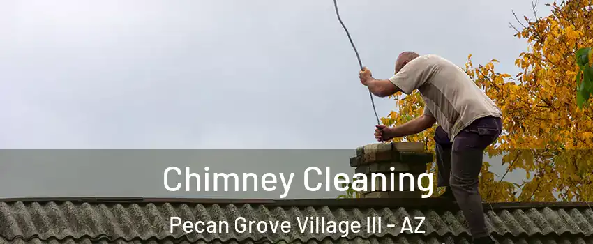 Chimney Cleaning Pecan Grove Village III - AZ