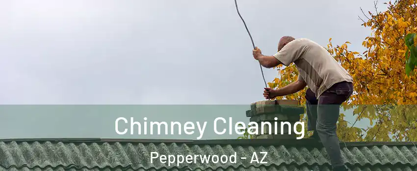 Chimney Cleaning Pepperwood - AZ