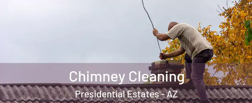 Chimney Cleaning Presidential Estates - AZ