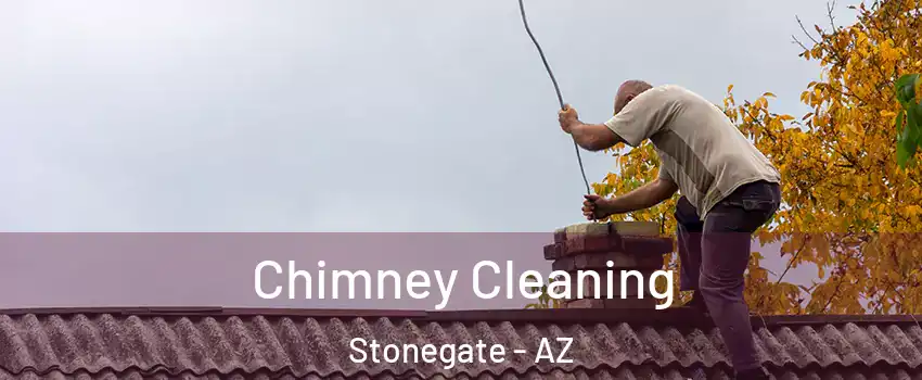 Chimney Cleaning Stonegate - AZ