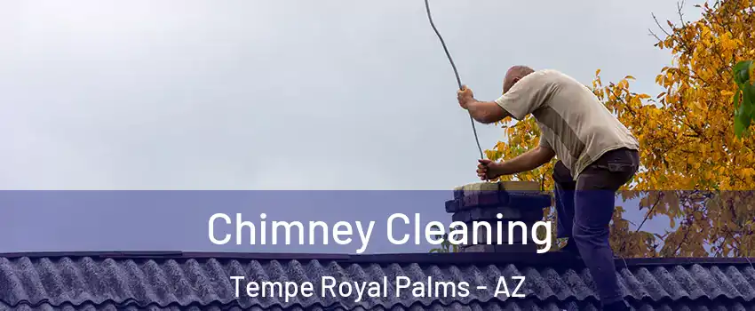 Chimney Cleaning Tempe Royal Palms - AZ