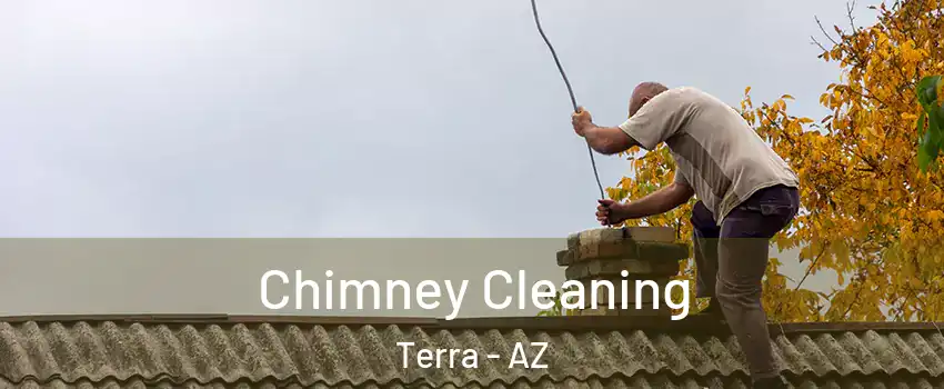Chimney Cleaning Terra - AZ