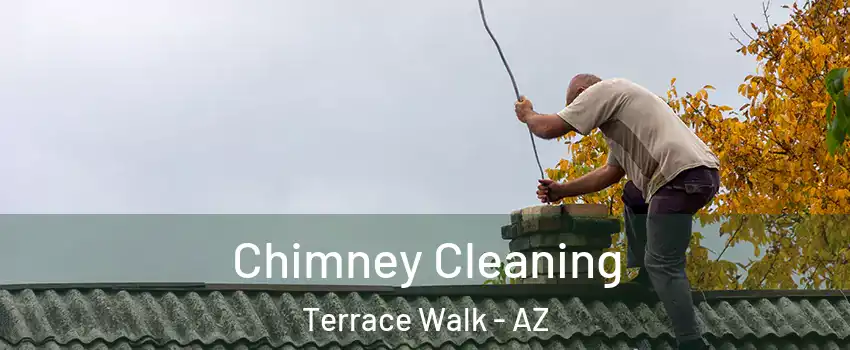 Chimney Cleaning Terrace Walk - AZ