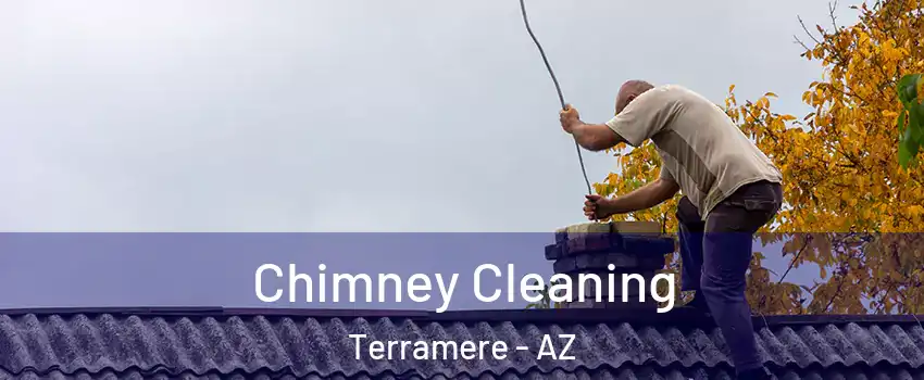 Chimney Cleaning Terramere - AZ