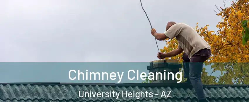 Chimney Cleaning University Heights - AZ