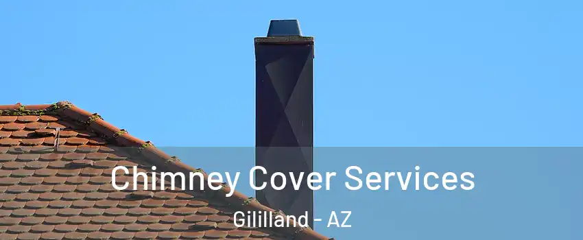 Chimney Cover Services Gililland - AZ
