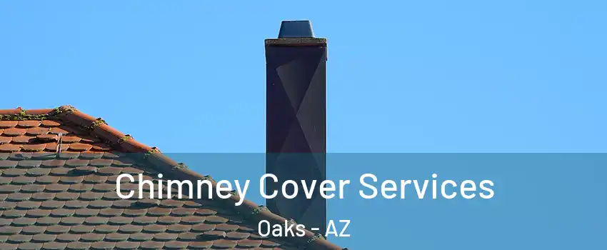 Chimney Cover Services Oaks - AZ