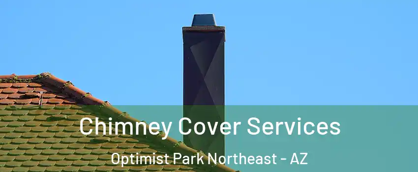 Chimney Cover Services Optimist Park Northeast - AZ